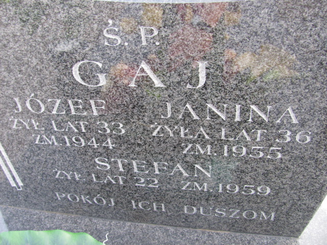 Józef Gaj 1911 Świdnik - Grobonet - Wyszukiwarka osób pochowanych