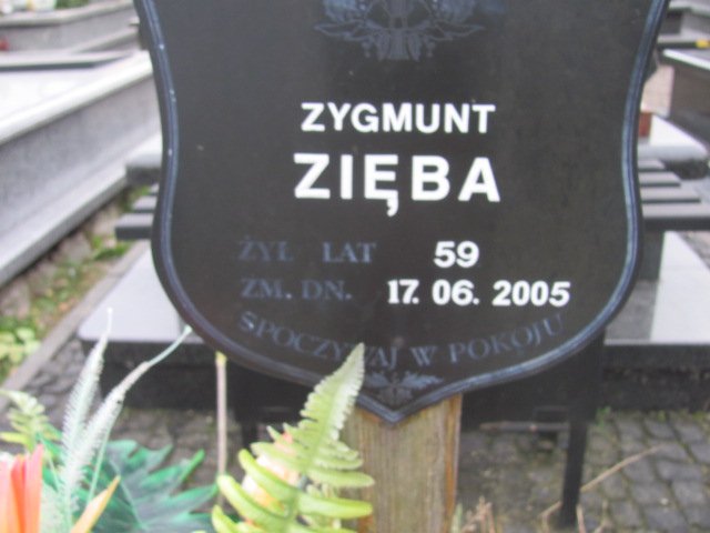 Zygmunt Zięba 1945 Świdnik - Grobonet - Wyszukiwarka osób pochowanych